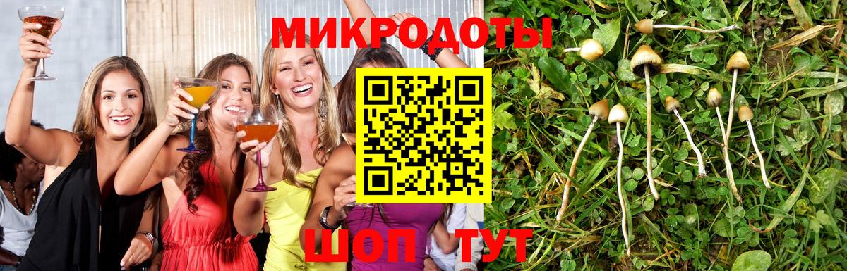Галлюциногенные грибы мицелий Хасавюрт