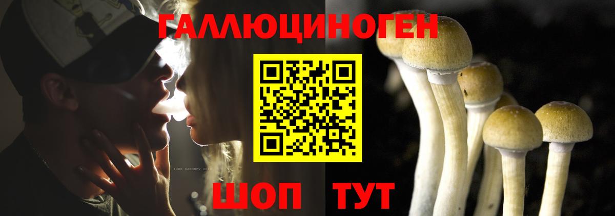 Псилоцибиновые грибы MAGIC MUSHROOMS  Вход с VPN  Хасавюрт 